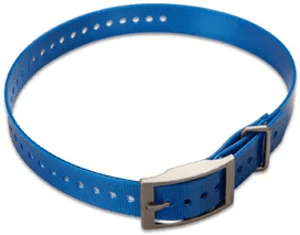 Hundehalsband Nylon blau 2,5 cm