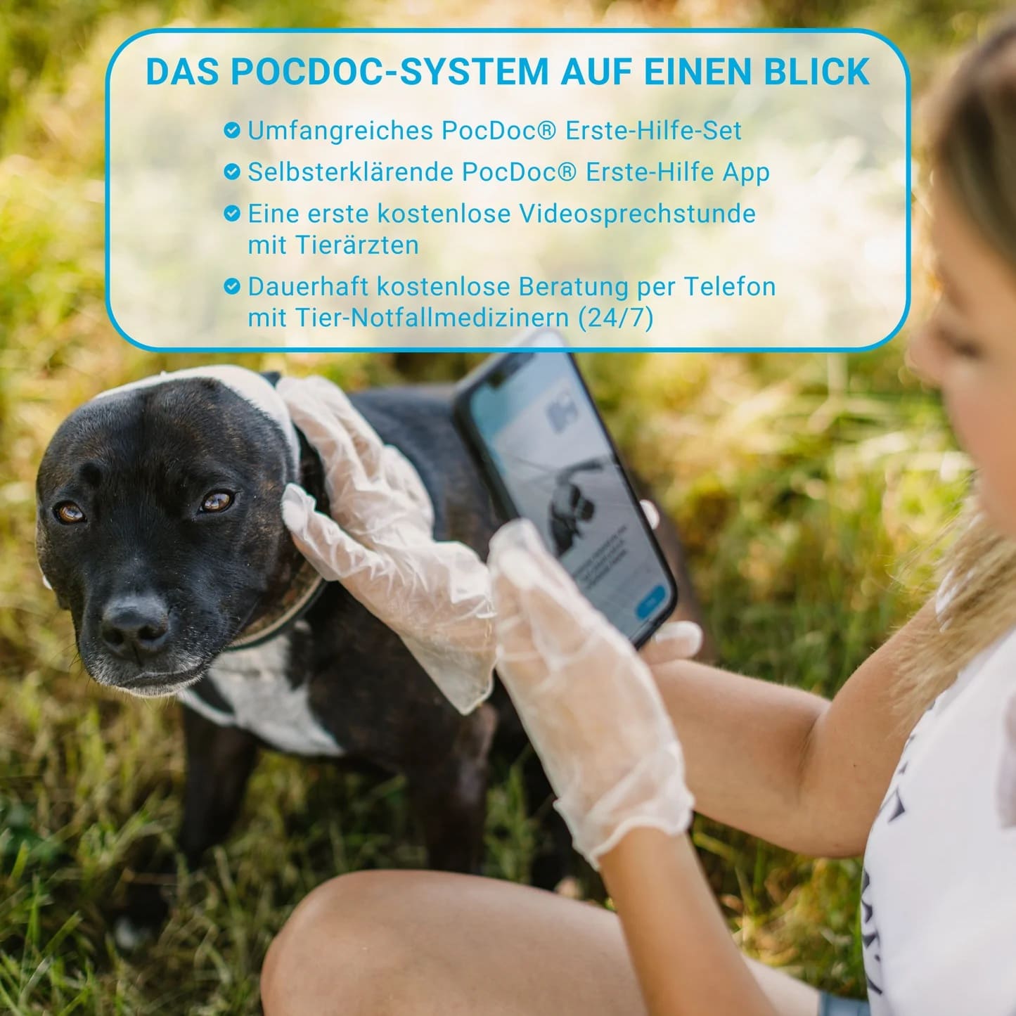 Pet Connect Erste Hilfe Set für Hund und Katze