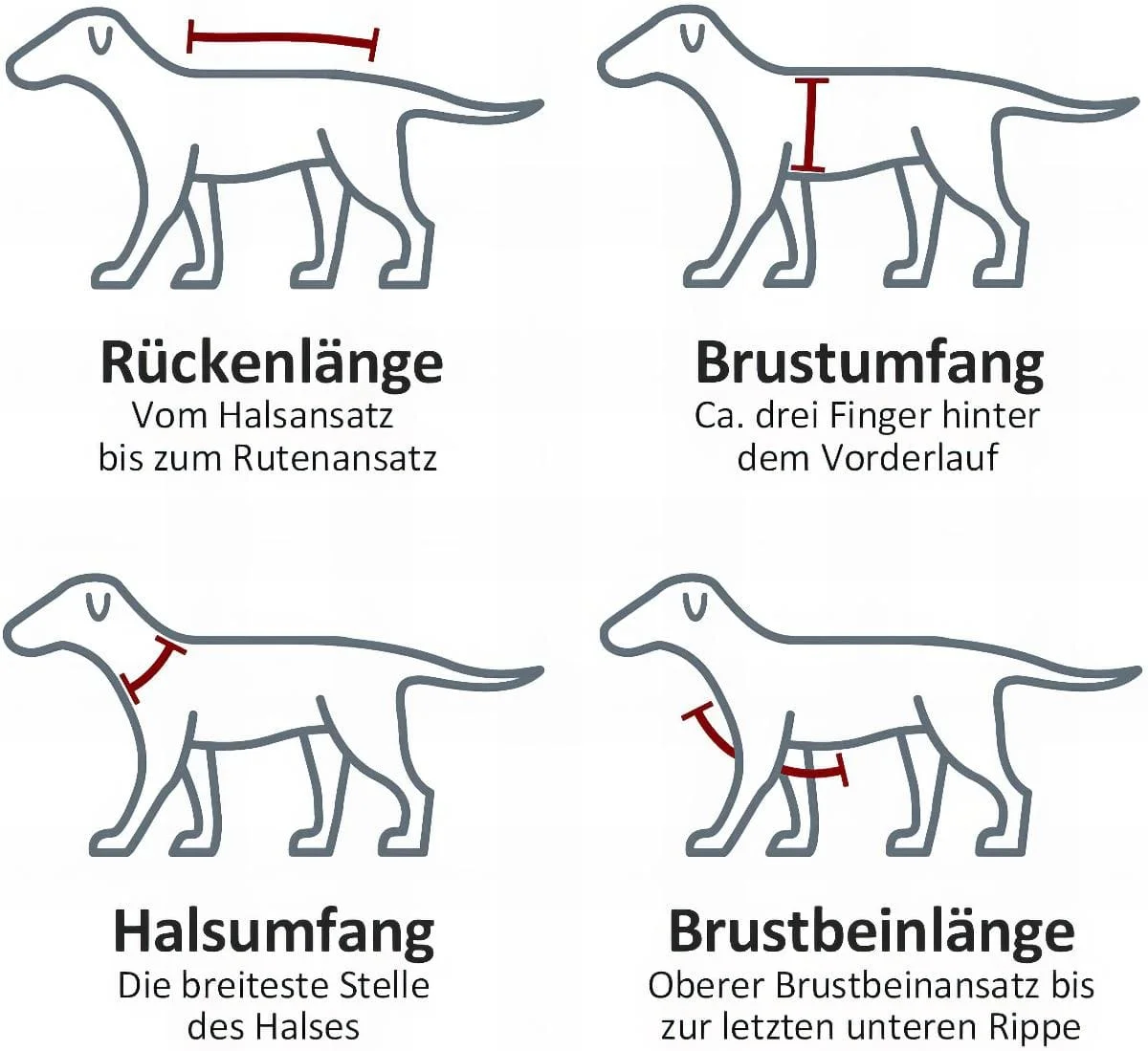 Original Grossenbacher Mantrailing V deals Hundegeschirr S