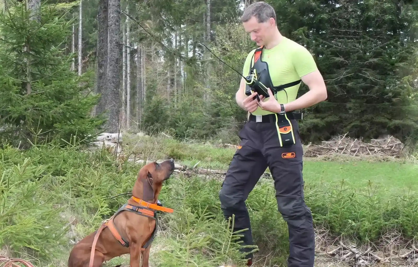 Niggeloh Schulterholster Finder bei der Hundeausbildung